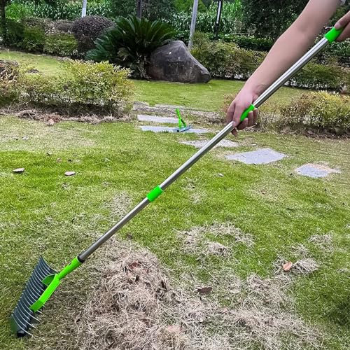 Thatch Rake, 12.8 Inch Wide Lawn Thatching Rake for Cleaning Dead Grass, 3 Sections Dethatcher Rake Lawn Grass Rake with Stainless Steel Handle for Garden, Lawn, 52.8 Inch Length