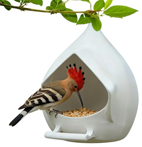 Comederos para pájaros para exteriores | Distribuidor impermeable de fácil relleno,Distribuidores colgantes para jardín | Per Interno Ed Esterno, Serra, Balcone, Giardino, Vivaio, Casa, Inverno