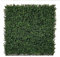 Nortene | Jardín Vertical Boj 100 X 100 Cm Nortene | Protección UV | Ideal para Exterior E Interior | Diseño Moderno