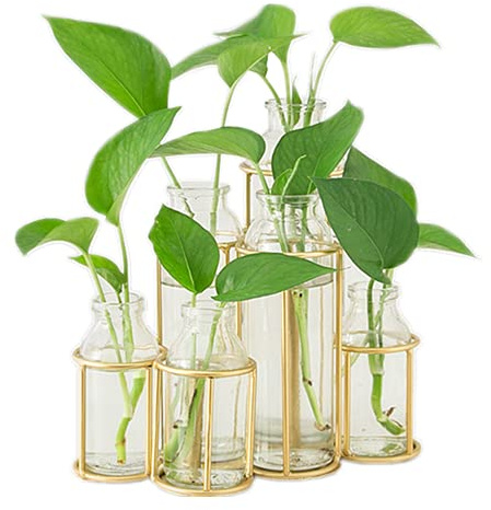 Radefasun Flower Vases with 6 Bottle Crystal Clear Glass Flower Vase with Metal Stand Propagation Station Plant Display Holder Set for Home or Wedding Décor