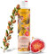 Jean & Len Champú Color Protección Aceite de Argán e Higo, para cabellos teñidos y estresados, aporta intensidad de color y brillo, sin parabenos ni siliconas, vegano, 300 ml