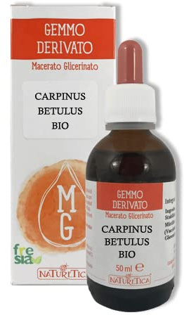 Carpino bianco - Carpinus betulus gemmoderivato 50ml