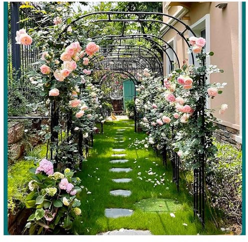 Arche en fer pour fleurs, treillage extérieur, tonnelle, arche de jardin pour plantes grimpantes, support de diverses décorations de fête de mariage, pergola, tonnelle, pelouse (dimensions : 300 cm x