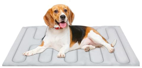 Kühlmatte – Hundematratze, wasserdichter Bezug, Kissenschutz, atmungsaktive Gel-Komfortoberfläche | Tragbare Entspannungs- und Ruhelösung für Indoor-Outdoor-Reisen, Camping, Training, Auto, Haustierak