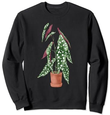 Cute Polka Dot Begonia Maculata Gift Angel Wings Gifts Sweatshirt