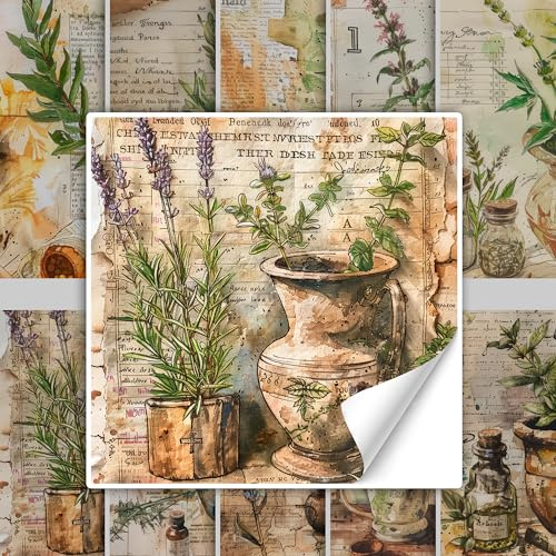 GRAZDesign Vintage Fliesenaufkleber Küche Kräuter in grün braun, Klebefliesen selbstklebend Küchenfliesen - 10x10cm / 30 Stück