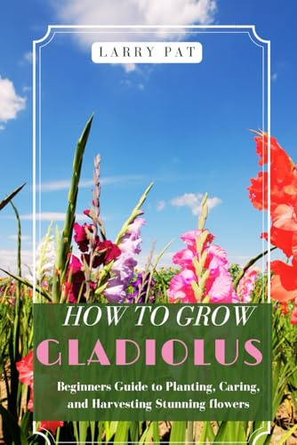 HOW TO GROW GLADIOLUS: Beginners guide to planting, caring and harvesting stunning flowers