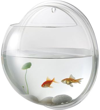 Toyvian Wall Mounted Acrylic Fish Bowl Aquarium Tank for Fish and Aquatic Plants Space-saving Suitable for Home Decor Random Color