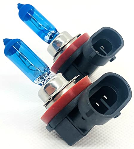 MAXXONI - 2x H8 PGJ19-1 35W 12V Stück Halogen Auto Lampen Xenon Look - Blue Optik Glühbirne