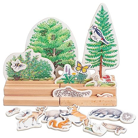 Betzold - Stockwerke des Waldes - Biologie-Unterricht Grund-Schule