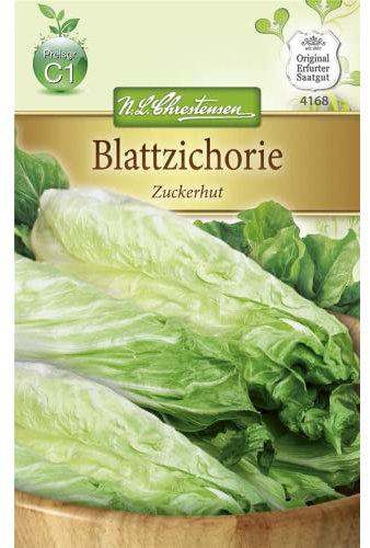 Chrestensen Blattzichorie 'Zuckerhut'
