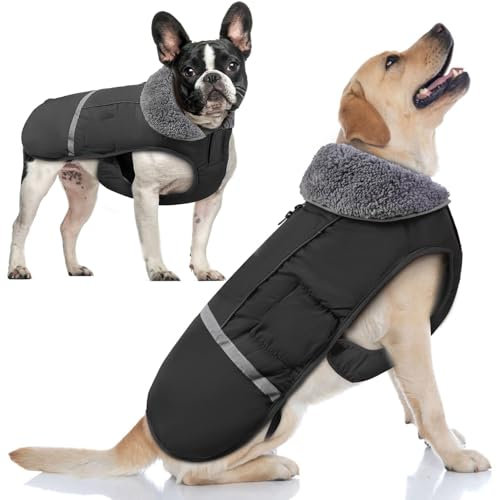 Doglay Hunde-Wintermantel mit dickem Pelzkragen, reflektierende warme Haustierjacke, wasserdicht, winddicht, Hundekleidung für kaltes Wetter, mittelgroße und große Hunde (klein, schwarz)