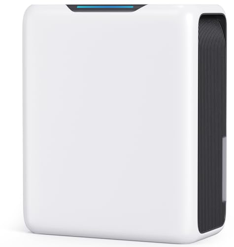 GOAMGE Deumidificatore 3000 ml, Silenzioso 30 dB, per Camera da Letto 20 m² | 800 ml/Giorno, 2 Velocità, Spegnimento & Sbrinamento Auto, Timer 24H, Modo Notte, per Camera da Letto, Bagno, Armadio