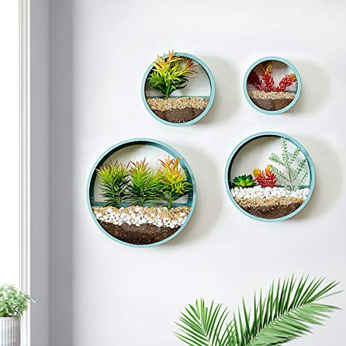 Set mit 4 schwarzen runden Metall-Glas-Sukkulenten-Wandbehang-Pflanzgefäßen für den Innenbereich aus Eisen, Wandpflanzen, Topf, Wand, Terrarium, Wandvase, Wand-Pflanzgefäß, vertikaler Behälter, Luftpf