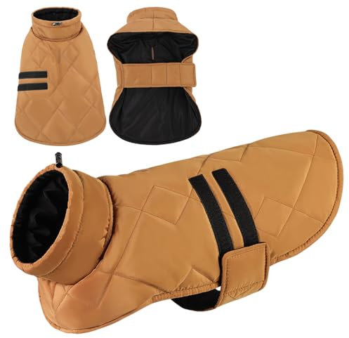 CITÉTOILE Hundemantel für Kleine Hunde, Hundemantel Winter,Winddichte Hundejacke für Hund Indoor & Outdoor Camping Wandern