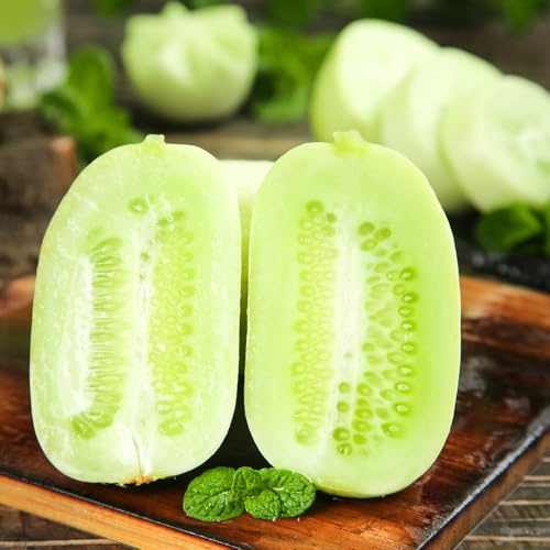 semillas de pepino al aire libre - orgánicas bancal elevado jardín perennes resistentes balcón 100pcs