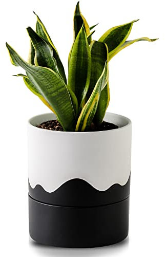 Nihow Selbstbewässernder Blumentopf: 15,2 cm Keramik-Pflanzgefäß mit Drainageloch & Wasserspeicher Plus für Innen- und Außenpflanzen - Zylinderförmiger runder Blumentopf für