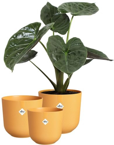 elho Jazz Rund 14,16,19 Blumentopf - Amber Gelb | ∅ 18.9 x H 17.6 cm | 3 Artikel Enthalten | für den Innenbereich | 100% recyceltes Plastik