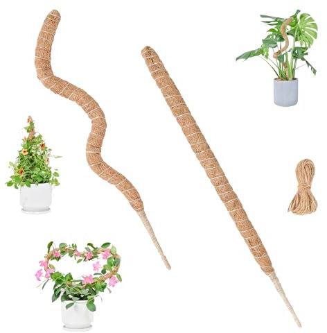 2 Pezzi Sostegno per Piante Rampicanti 60 cm Palo di Muschio Fibra di Cocco Pieghevole Bastone per Piante Rampicanti per Piante da Interno Casa Giardino
