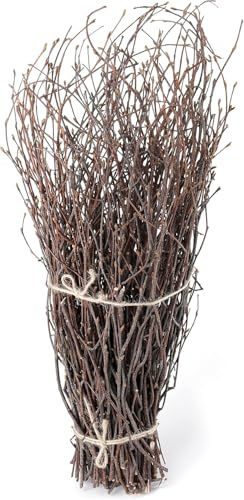 SOUJOY 100 PCS Birch Twigs for Vase, 16 Inch Natural Dried Birch Branches, Craft Decoration Birch Stick for DIY, Centerpieces, Home, Office, Wedding Arrangement
