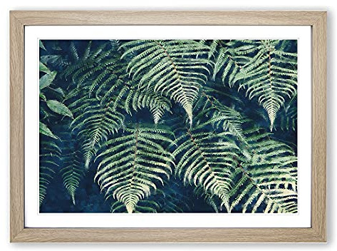 Fern Leaves Framed Wall Art Print A2 Oak | Ready to Hang, Premium Giclée Paper, Fade-Resistant Inks, Securely Packaged, UK Made