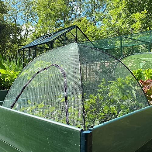 Pop n Crop Fruit Cage Veg Cloche Plant Umbrella | Instant Raised Bed Planter Cover & Bird Insect Mesh Grow House for Crops Herbs Flowers (1m x 0.75m H, PK 3)