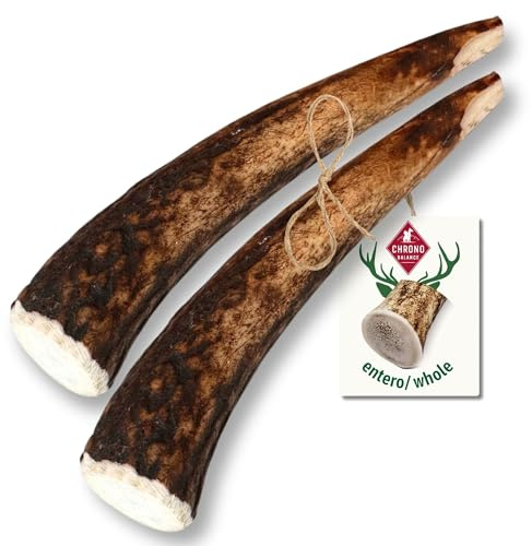 ChronoBalance® M Kaustange für Hunde ganze Stücke als Kauspielzeug: 100% Hirschgeweih für Hunde, Hundespielzeug, Leckerli Zahnpflege, Kausnack, Geweih Kauknochen, Natürlich ohne Zusätze (2er Set)