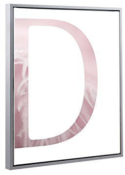 Bildershop-24 Schattenfugenrahmen Lemgo Alu geschliffen (Dekor) mit Keilrahmen Leinwand Bild Druck Motiv: Buchstabe D Rosa Design 40x50cm