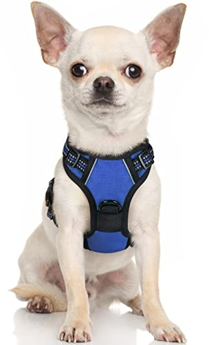 rabbitgoo Hundegeschirr Kleine Hunde Anti Zug mit Griff, XS, Blau | No Pull & Individuell Anpassbar, Atmungsaktiv Gepolstert, 2 D-Ringe, Schnellverschlüsse, Reflektierend für Gassi & Training