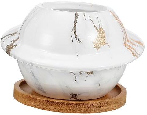 Gogogmee 1satz Keramischer Sukkulenten Blumentopf Mit Drainageloch Und Holzuntersetzer Dekorativer Planet Blumentopf Für Schreibtisch Und Innenraumgestaltung Für Pflanzenliebhaber
