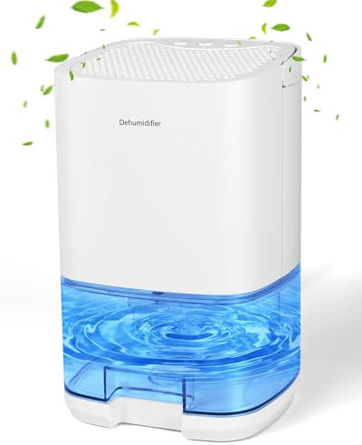 Birnetek ® 1L Deumidificatore Casa, Spegnimento Automatico e Luce LED Colorata, deumidificatore portatile Ultra Silenzioso, Per Max 30㎡, Deumidificatore per Camera da Letto e Armadio-350ML/Giorno