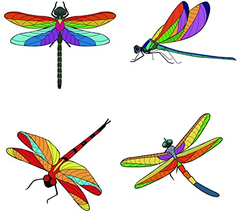 GORGECRAFT 4PCS 6.3”Dragonfly Window Clings Static Bird Glass Sliding Door Sticker Anti Collision Decals Waterproof Vinyl Film Bedroom Bathroom Decals for Prevent Stop Birds Dogs Pets Strikes