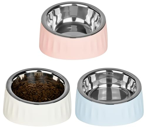 YYTECH 3 stycken kattskålar rostfritt stål, 15° sned matskål kattset, upphöjd matskål katt hundskål, matskål för katt hundar, vatten matskål avtagbara kattskålar för vatten mellanmål