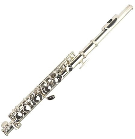 Flöte 16-Loch Piccolo C-Taste E-Taste Anfänger-Piccolo-Instrument