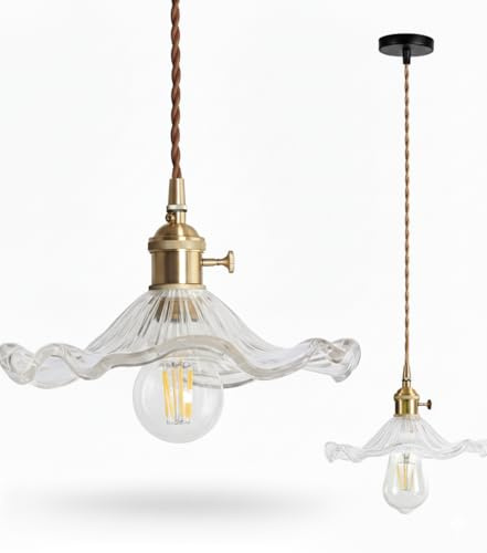 Chrasy E27 Pendellampa Mässingsfärgad Sockel Glasskärm Transparent 22 cm | Lotusbladssilhuett, Flätad Kabel på 100 Centimeter, Strömbrytare på Hållaren, Kök Matplats Sovrum Kafé och Hem, Utan Lampa
