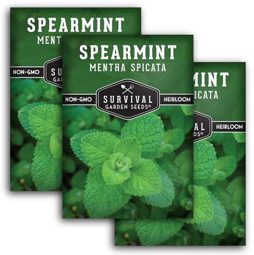 Spearmint Seeds for Planting – Non-GMO Heirloom Mint for Indoor or Outdoor Herb Gardens, Fresh Spearmint for Tea & Cooking (Mentha spicata) - Survival Garden Seeds (3 Packs)