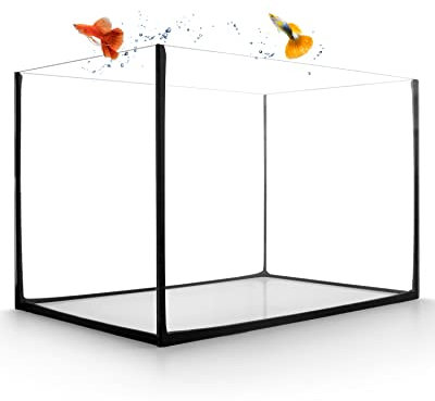 GarPet Aquarium Becken 30x20x20 cm 12 L rechteckig Glas Aquariumbecken Garnelenaquarium Mini Aquarium Salzwasseraquarium Nanobecken, Fisch