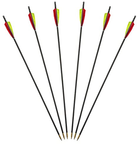 6er Pack Standard Holzpfeil mit 3 x einfarbige Federn Durchmesser: 11/32 Spinewert: 61-65 Pfeillänge: 31 Zoll Nocke: Snap-On 11/32 3D Messingschraub - Pfeilspitze: 11/32 125 Grain Federgröße: 5 Zoll