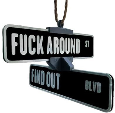 Fuck Around And Find Out Street Sign Hanger, 3D Printed Rotating Warning Sign Decoration Funny Car Mirror Ornament Funny Decorations for Car Truck Garage Home Decor(Black)