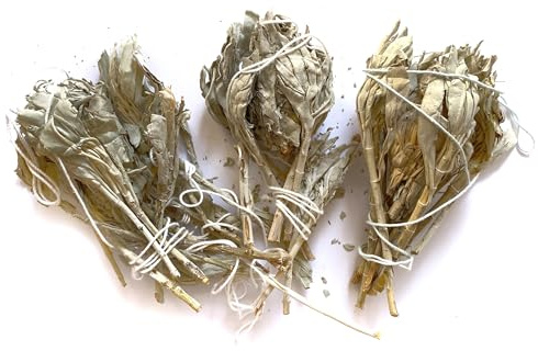 Farbenwald - Weißer Salbei Fackeln, D-Ware, zum Räuchern, rd. 11cm lang, Bündel sind defekt, aus Kalifornien, Smudge Sticks, Salvia Apiana