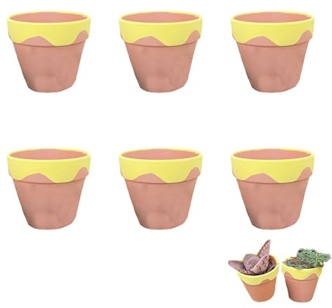 Molyorch 6 pièces Pot Terre Cuite, pour Cactus, Fleurs, Plantes Grasses, Parfaits pour LeJardinage, Le Bricolage ou des Cadeaux de Mariage (5.5 * 5cm-Marron et Jaune)