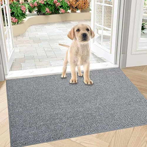 FANGCCC Schmutzfangmatte Innen 60 x 90 cm, rutschfest Fußmatte Außen und Innen, Waschbar Sauberlaufmatte Türmatte, Wasserdicht Eingangsteppich, Absorbierend Fussmatte für Eingang, Haustür, Flur, Grau