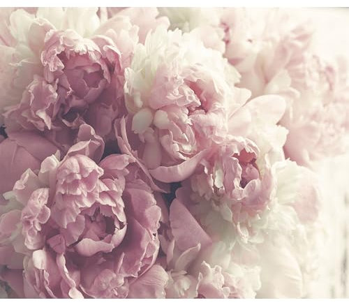 decomonkey Fototapete Blumen 350x256 cm Tapete Fototapeten Vlies Tapeten Vliestapete Wandtapete moderne Wand Wandbild Schlafzimmer Wohnzimmer Pfingstrosen Natur Rosa Puderrosa Blumenmotiv Romantik