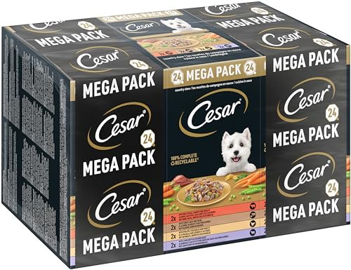 Cesar Megapack Landragout - Hundenassfutter in der Schale - 4 Varietäten im Multipack - 24 x 150g