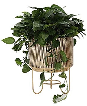 pflanzenständer, blumenstand, blumenstander Blumenregal pflanzenhocker pflanzentopf blumentopf hoch indoor holz seule Garten Blumentreppen Pflanzentreppe Ablagen deko gold metall weiß schwar