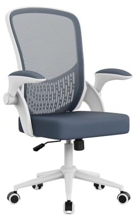 naspaluro Ergonomischer Bürostuhl, Schreibtischstuhl mit 90° Klappbaren Armlehnen, Einzigartige Lendenwirbelstütze, Atmungsaktive Mesh-Polsterung für das Heimbüro, Studie, Graublau