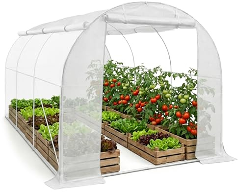 AKORD Tunnelgewächshaus 200x300x200 cm Grün – Foliengewächshaus mit verzinktem Metallgestell, PE-Folie, 6 Fenster mit Insektenschutz & Aufrollbarer Tür, Weiß