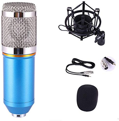 Kit de Micro à condensateur Home Studio, Ensemble de Microphones de Carte Son en Direct Microphone à condensateur Ancre Ordinateur Microphone à condensateur Microphone criant, Microphones à condensa