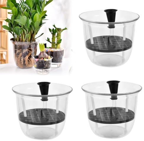 Confezione da 3 vasi autoinnaffianti trasparenti, con serbatoio, in plastica, per piante da interno, violette africane, fiori