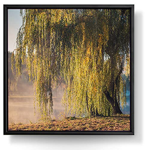 BilderKing Wandbild Trauerweide am Fluss - 50cm x 50cm Leinwand auf 2cm Keilrahmen mit Schattenfugenrahmen schwarz